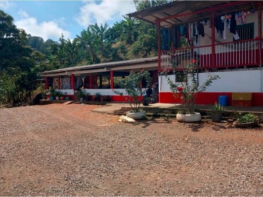 Ρουστίκ ή αγροικία σε Pereira, Departamento de Risaralda