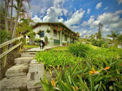 Arsa Retiro, Departamento de Antioquia