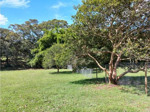 Land in Rionegro, Departamento de Antioquia