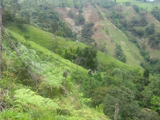 전원/농가 / Dabeiba, Departamento de Antioquia