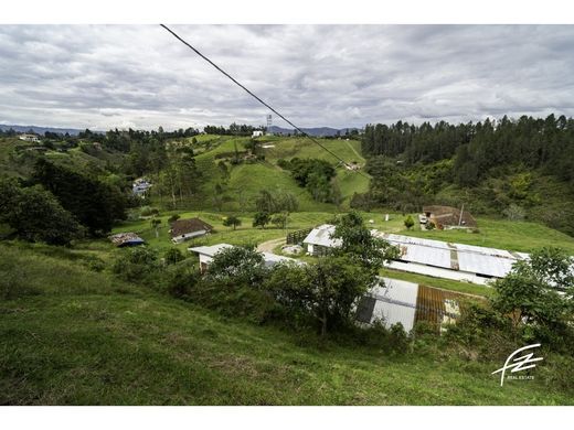 Luxus-Haus in Rionegro, Departamento de Antioquia