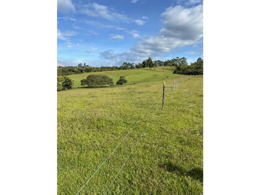 Cortijo o casa de campo en Cajibío, Departamento del Cauca