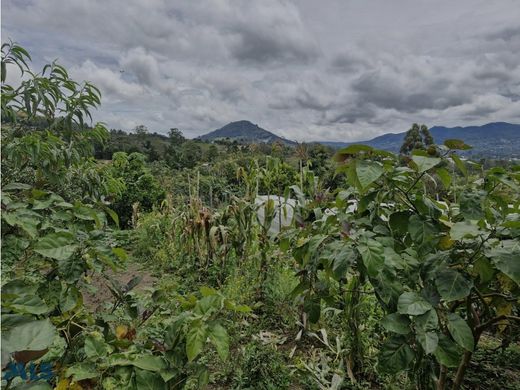 컨트리하우스 / La Ceja, Departamento de Antioquia