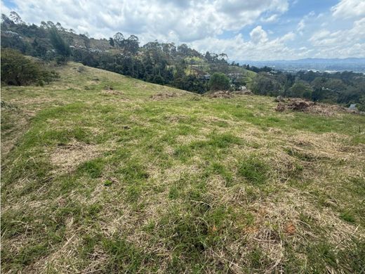 Αγροτεμάχιο σε Rionegro, Departamento de Antioquia