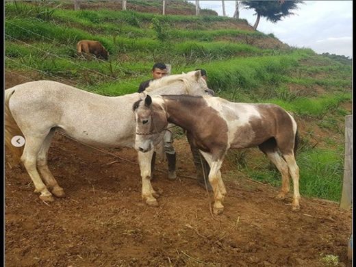 Rustico o casale a Cali, Departamento del Valle del Cauca