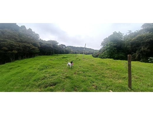 Αγροτεμάχιο σε Envigado, Departamento de Antioquia