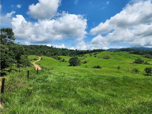 Ρουστίκ ή αγροικία σε Remedios, Departamento de Antioquia