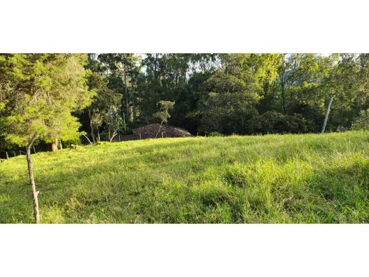 Grundstück in Rionegro, Departamento de Antioquia