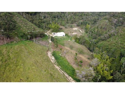 Farmhouse in Barbosa, Departamento de Antioquia