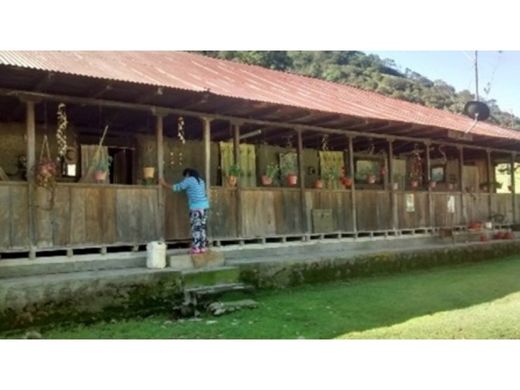 Rustik ya da çiftlik El Cerrito, Departamento del Valle del Cauca