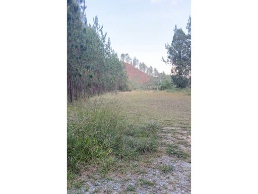 Arsa Retiro, Departamento de Antioquia