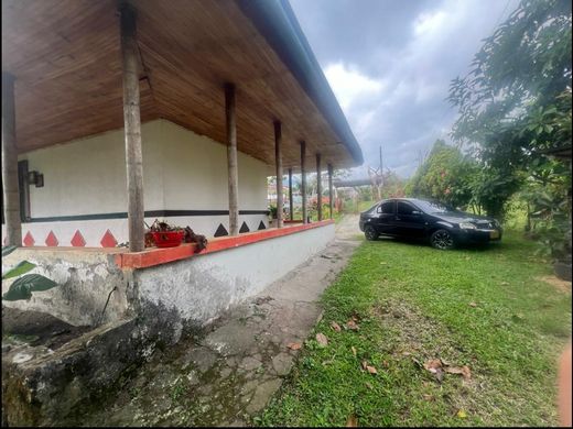 Arsa Armenia, Quindío Department