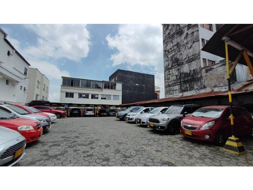 Arsa Manizales, Departamento de Caldas