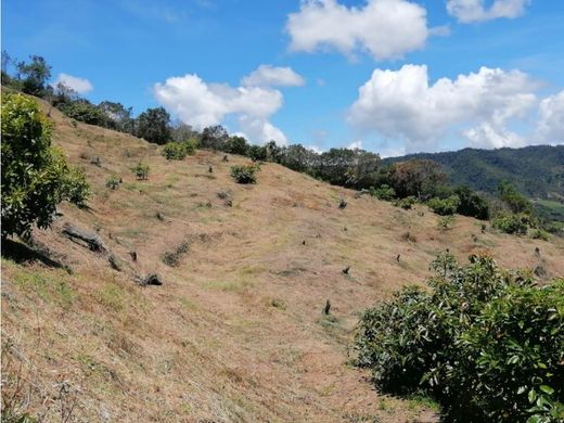 Ferme à San Vicente, San Vicente Ferrer