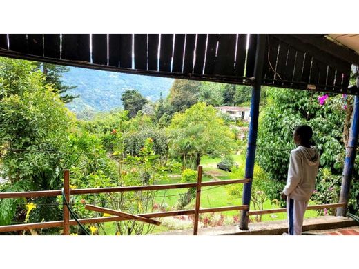 샬레 / Cali, Departamento del Valle del Cauca