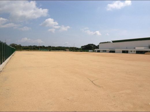 토지 / Cartagena, Cartagena de Indias