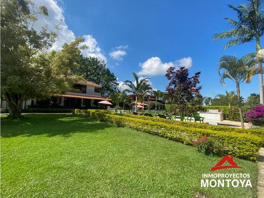 호텔 / Pereira, Departamento de Risaralda