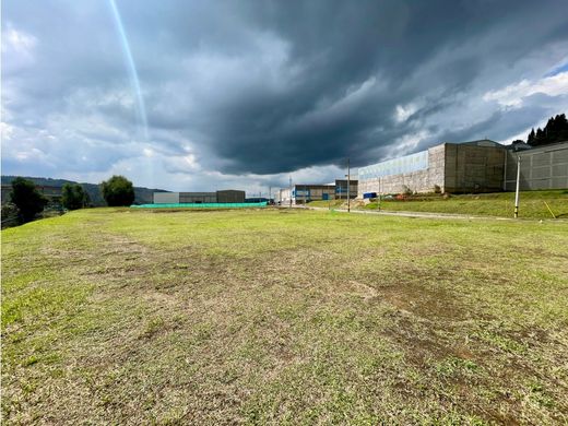 Rionegro, Departamento de Antioquiaの土地