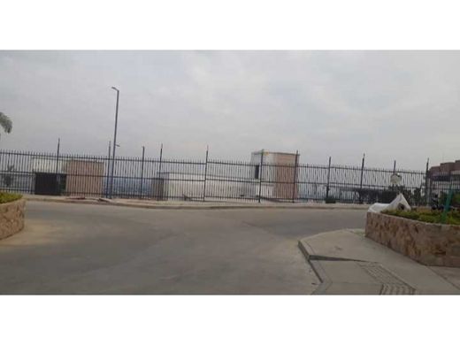 豪宅  卡利, Cali