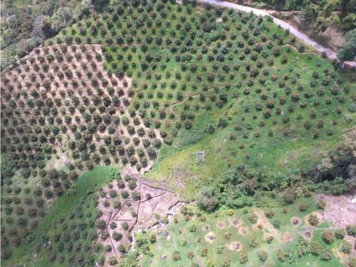 Αγροτεμάχιο σε Μεδεγίν, Medellín