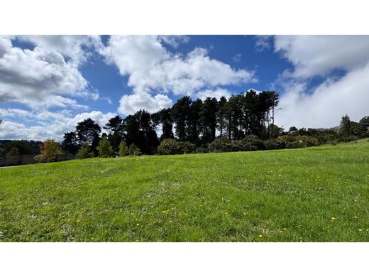 أرض ﻓﻲ Envigado, Departamento de Antioquia