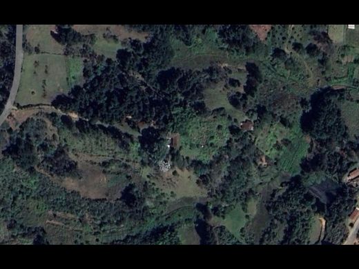 Land in Rionegro, Departamento de Antioquia
