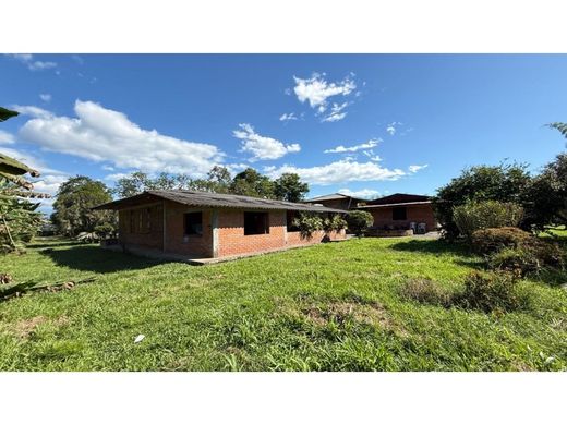 Ρουστίκ ή αγροικία σε Armenia, Quindío Department