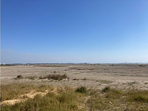 Land in Cartagena, Cartagena de Indias