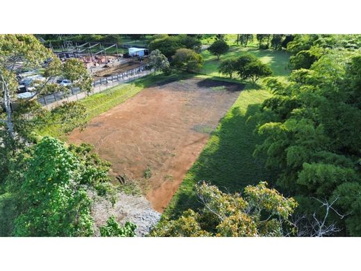 Terreno a Rionegro, Departamento de Antioquia