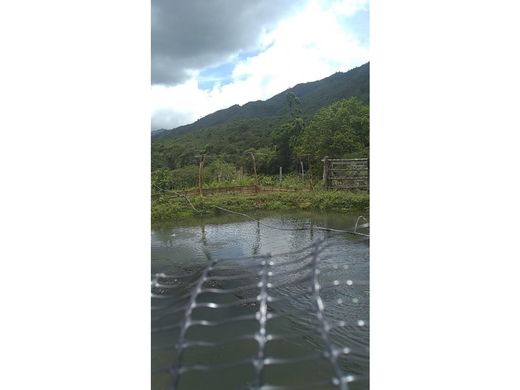 Rustik ya da çiftlik Guaduas, Departamento de Cundinamarca