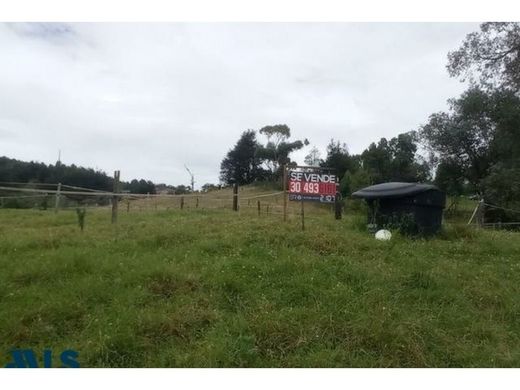 Land in Envigado, Departamento de Antioquia