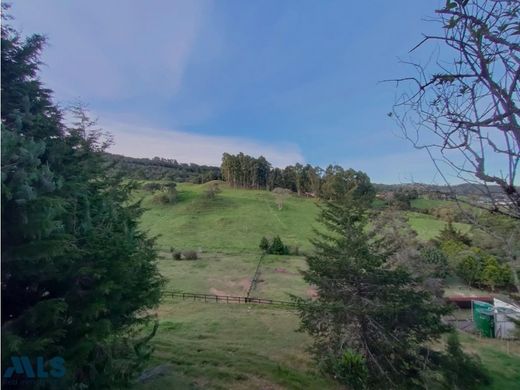 Arsa Envigado, Departamento de Antioquia