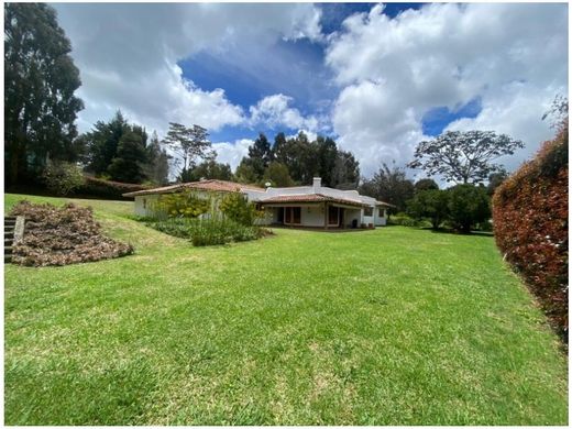 ﺷﻘﺔ ﻓﻲ ميديلين, Medellín