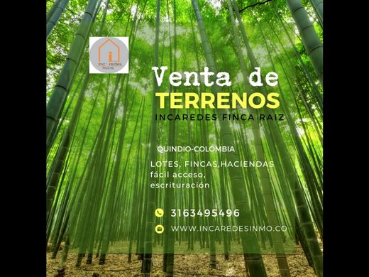 Arsa Armenia, Quindío Department