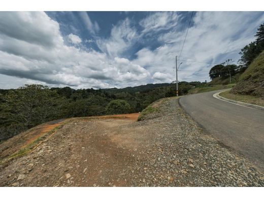 Land in Medellín, Departamento de Antioquia