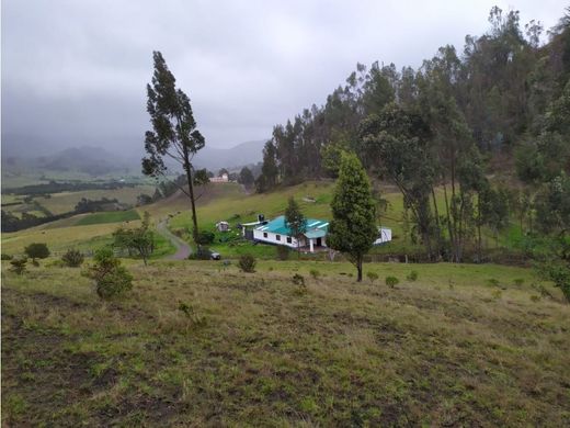 村舍/农舍  Carmen de Carupa, Departamento de Cundinamarca