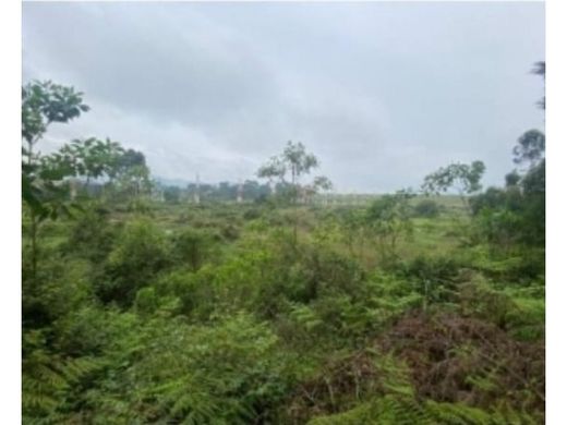 地皮  Rionegro, Departamento de Antioquia