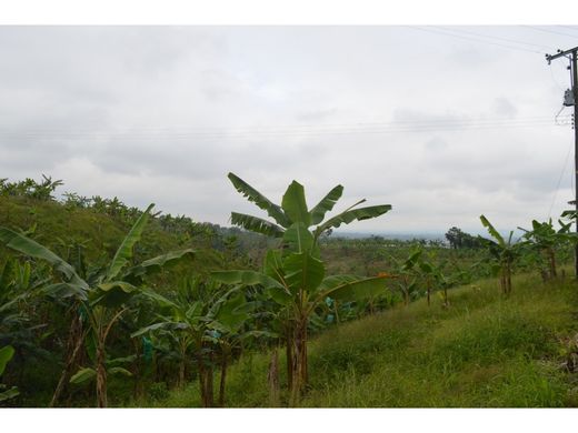 Farmhouse in Filandia, Quindío Department