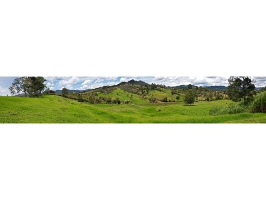 ‏קרקע ב  Rionegro, Departamento de Antioquia