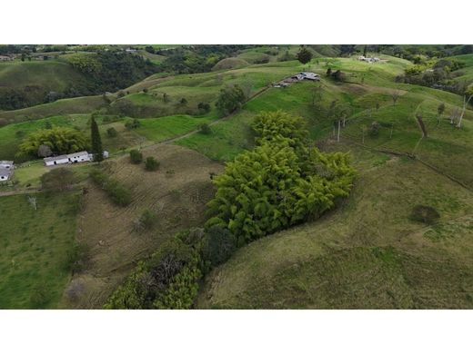 Farmhouse in Circasia, Quindío Department
