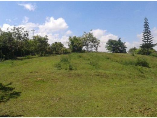 Terrain à Pereira, Departamento de Risaralda