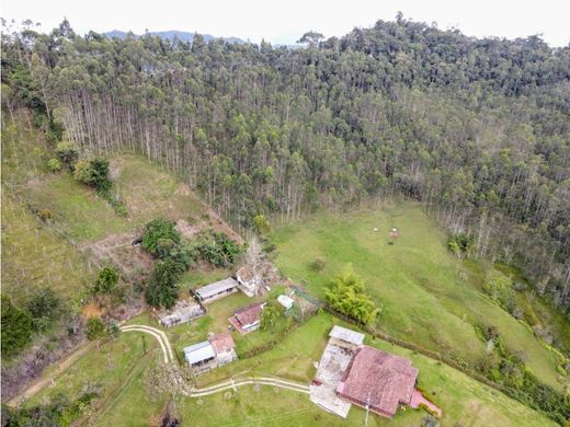 Rustykalny lub Wiejski w Santo Domingo, Departamento de Antioquia