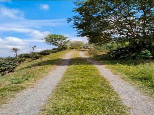 Land in Pereira, Departamento de Risaralda