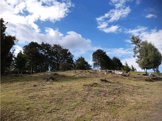 Grundstück in Rionegro, Departamento de Antioquia