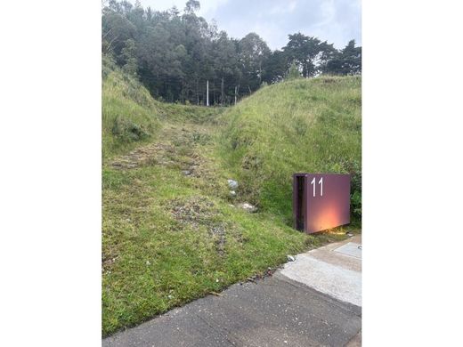 Arsa Envigado, Departamento de Antioquia