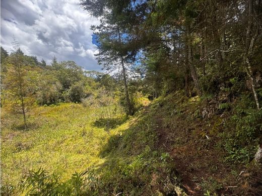 Grundstück in Rionegro, Departamento de Antioquia