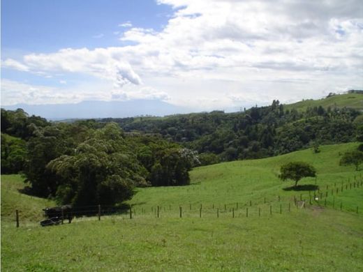 Αγροτεμάχιο σε Filandia, Quindío Department