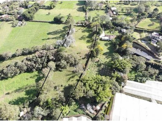 Teren w Rionegro, Departamento de Antioquia