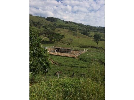 Ρουστίκ ή αγροικία σε Viterbo, Departamento de Caldas