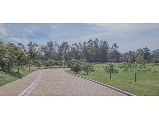 地皮  Rionegro, Departamento de Antioquia